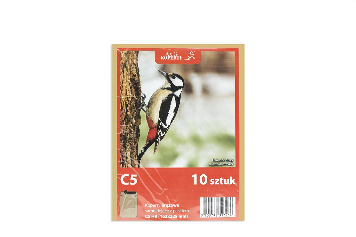 Koperta C5/10szt. HK szara